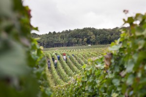 thumb_JPEG (1 sur 1)_1024