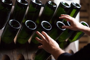 thumb_JPEG (86 sur 113)_1024